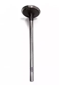 Клапан выпускной MG3, MG 350, MG5 Aftermarket 10049011