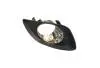 Решетка фары противотуманной L хэтчбек EC-7RV Aftermarket 1068003045 (фото 1)