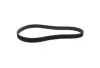 Ремень ГРМ 97RU216 Chery Aftermarket 480-1007081BA (фото 1)