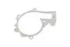 Прокладка насоса водянного Aftermarket 481H-1307041 (фото 1)