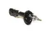Амортизатор передний (масло) Chery Amulet/Forza/Karry Aftermarket A11-2905010BA (фото 1)
