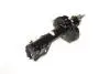 Амортизатор передний (масло) Chery Amulet/Forza/Karry Aftermarket A11-2905010BA (фото 3)