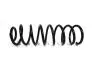 Задняя пружина Chery Amulet Aftermarket A11-2912011 (фото 1)