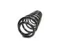 Задняя пружина Chery Amulet Aftermarket A11-2912011 (фото 2)