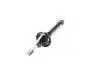 Амортизатор задний (газ) Chery Amulet ASHIKA A11-2915010BA (фото 2)