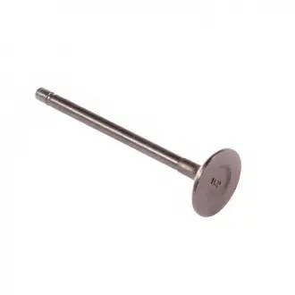 Клапан впускной (DIESEL) Great Wall Haval H5 Haval H5 Wingle 5 4D20 Aftermarket 1007011-ED01