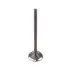 Клапан выпускной 4G13 4G15 Great Wall Haval M2 Aftermarket 1007012-EG01 (фото 1)