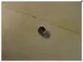 Компенсатор клапана (стакан) Geely EC-7 RV Aftermarket 1086001194-528 (фото 1)
