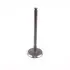 Клапан впускной Geely GC7, EC7, EX7, FC, SL Aftermarket 1136000091 (фото 2)