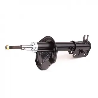 Амортизатор передній R Chery Eastar Aftermarket B11-2905020