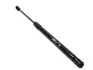 Амортизатор кришки багажника (хетчбек) ЗАЗ Chery Forza Aftermarket J15-5605110 (фото 4)