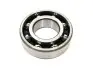 Підшипник КПП первинного валу передній Chery Amulet Forza Elara E5 Aftermarket QR513MHA-1701302 (фото 1)