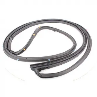 Ущільнювач двері передньої Aftermarket T11-5402420