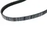 Ремінь ГУРу та кондиціонера Chery QQ BOSCH S11-8104051BC (фото 7)