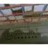 Стекло крышки багажника Song Plus Champion 2023- BYD SA3F6303100 (фото 3)