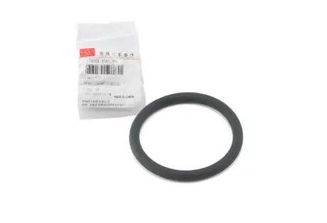 Уплотнитель Elara (A21), Jaggi (S21) CHERY 481h-1002037