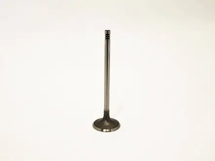 Клапан впускной Tiggo 5 (T21)/Eastar (B11)/Elara (A21)/M11 (M11)/Tiggo (T11) CHERY 481H-1007011BA