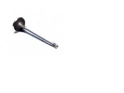 Клапан впускной Elara (A21) CHERY 481h-1007011ca