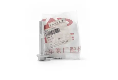 Болт развал-схождения RR подвески B11 CHERY B11-2919027