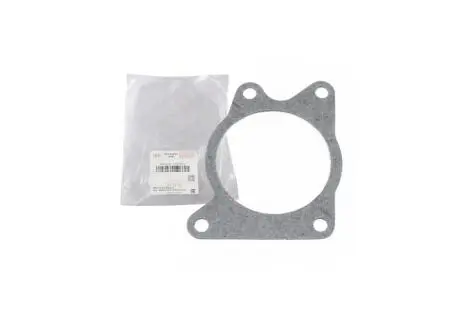 Прокладка водяного насоса Tiggo2 (T11) CHERY D4g15b-1307041