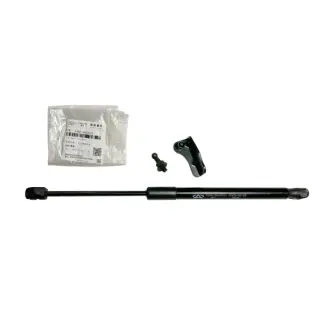 Амортизатор багажнику CHERY S18d-5605010