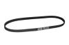 Ремень кондиционера Geely LC Cross (GX2) DAYCO 1017009703 (фото 3)