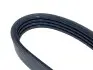Ремень кондиционера ГУРа Chery QQ DAYCO S11-8104051BC (фото 6)