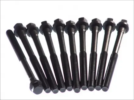 Болт ГБЦ (комплект 10шт) ELRING 480-1003082-01