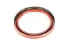 Сальник коленвала задний Chery Amulet Elara Forza Karry E5 ELRING 480-1005030 (фото 2)