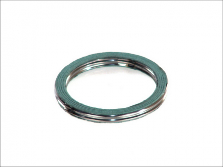 Уплотнительное кольцо, труба выхлопного газа ELRING 828.246 (фото 1)