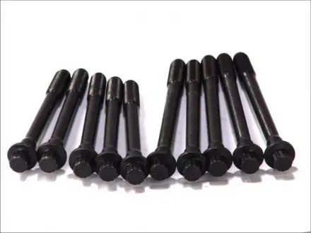 Болт ГБЦ Geely (компл. 10 шт) ELRING E010500801-01