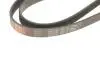 Ремень поликлиновый BYD Qin 12-18 Gates 6PK1753 (фото 3)
