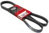 Ремінь ГУРу та кондиціонера Chery Beat Gates S12-8104051 (фото 1)