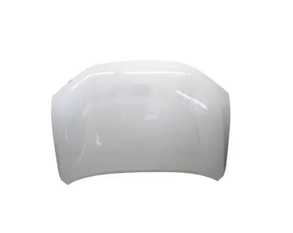 Капот Dashing Jetour F16-8402010CA-DY