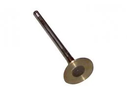 Клапан випускний (компл. 4 шт.) Chery Amulet/Karry Kimiko 480EF-1007012-01