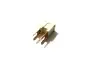 Предохранитель (120А) Chery Amulet Kimiko A11-3722019 (фото 2)