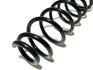 Пружина задня BYD F3 KLM KLM AutoParts 10129907-00 (фото 1)