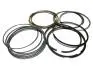 Кольца поршневые 0.25 Chery Forza KLM KLM AutoParts 477F-BJ1004030BA (фото 1)