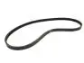 Ремінь ГУРу та кондиціонера 4PK985 Chery QQ KLM KLM AutoParts S11-8104051BC (фото 1)