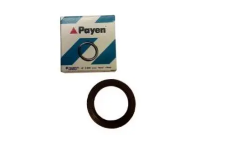 Сальник распредвала Chery Amulet / Karry Payen 480-1006020