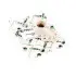 Щітки генератора Chery Amulet PROFIT A11-3701110BC-S (фото 1)
