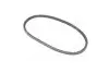 Ремень ГУР CHERY AMULET, FORZA RIDER RD.A113412051 (фото 3)