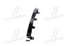 Решетка бампера переднего средняя CHERY EASTAR 03-11 TEMPEST B11-2803517 (фото 2)