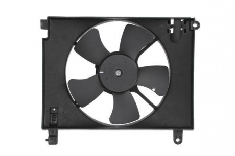 Вентилятор радиатора THERMOTEC D80009TT (фото 1)