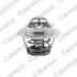 Термостат DAEWOO LANOS 1.3-1.6 Vernet TH4898.87J (фото 1)