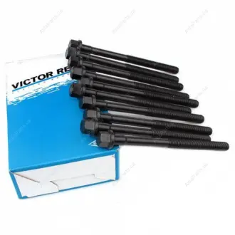 Болт ГБЦ (комплект 10шт) VICTOR REINZ 480-1003082-01