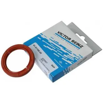 Сальник распредвала Chery Amulet / Karry Victor-Reinz VICTOR REINZ 480-1006020